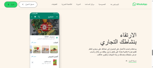 انشاء و برمجة و تصميم موقع و تطبيق مثل واتساب ايفون و اندرويد
